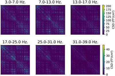 Analysis of Functional Connectivity and Oscillatory Power Using DICS: From Raw MEG Data to Group-Level Statistics in Python